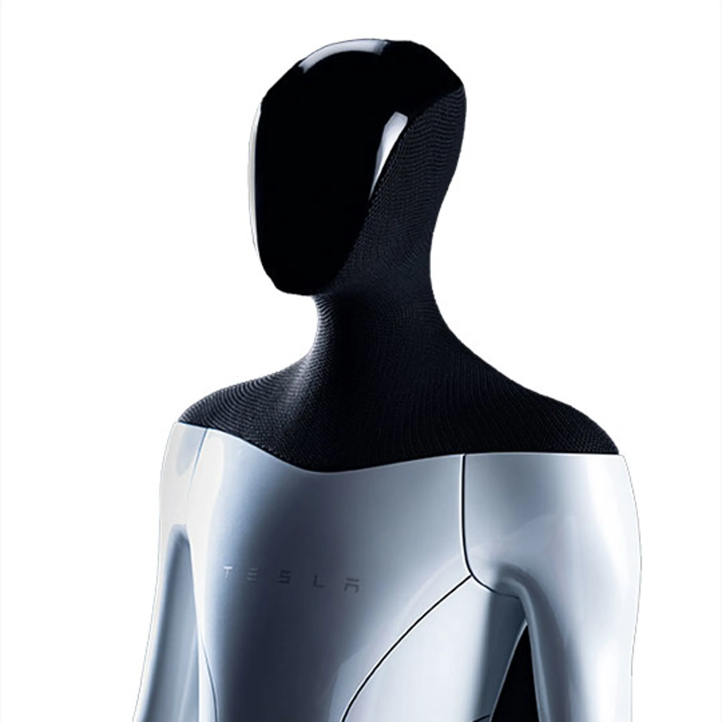 An Array of Humanoid Robots to Help